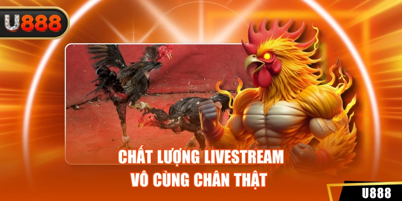 Chất lượng livestream vô cùng chân thật 