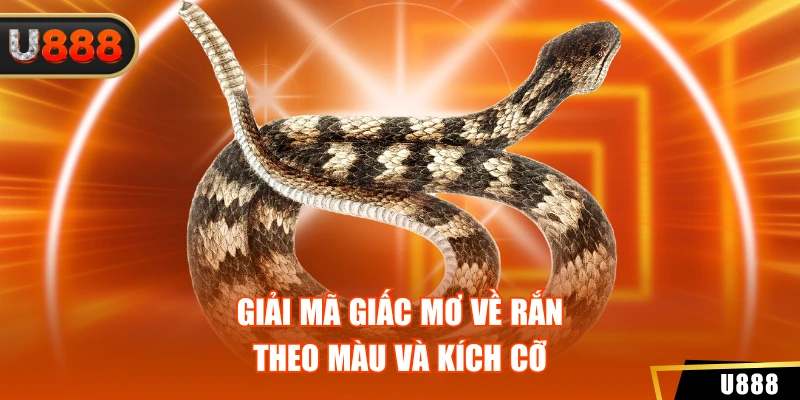 Giải mã giấc mơ về rắn theo màu và kích cỡ