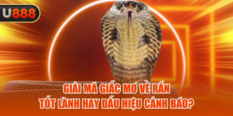 Giải Mã Giấc Mơ Về Rắn - Tốt Lành Hay Dấu Hiệu Cảnh Báo?