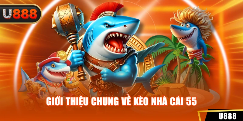 Giới thiệu chung về kèo nhà cái 55