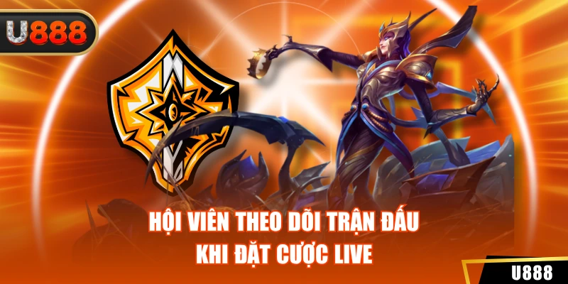 Hội viên theo dõi trận đấu khi đặt cược live