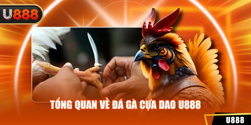 Tổng quan về đá gà cựa dao u888